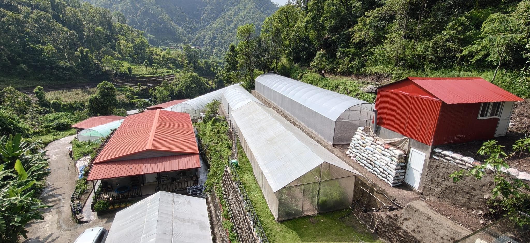 Reach Nepal greenhouses and ministry buildings in a forested valley.